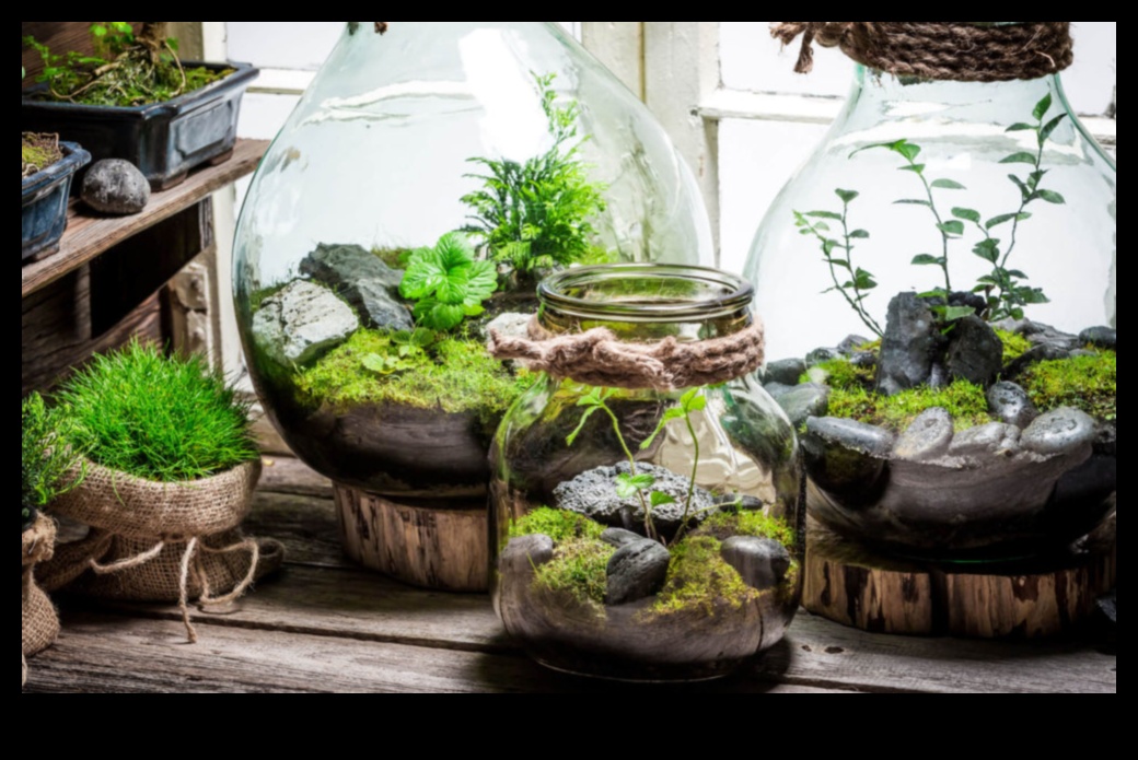 Introduceți Natura în interiorul refugiului nostru de seră și descoperiți o lume a minunei 3 Natura de hrănire: Intră în interiorul refugiului nostru de seră