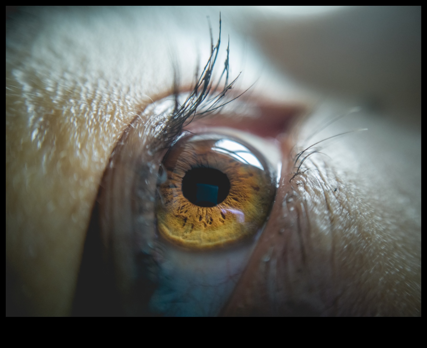 Fotografie de prim-plan macro magic cu un obiectiv macro 4 Obiectiv macro cu fotografie de bricolaj: explorarea fotografiei apropiate