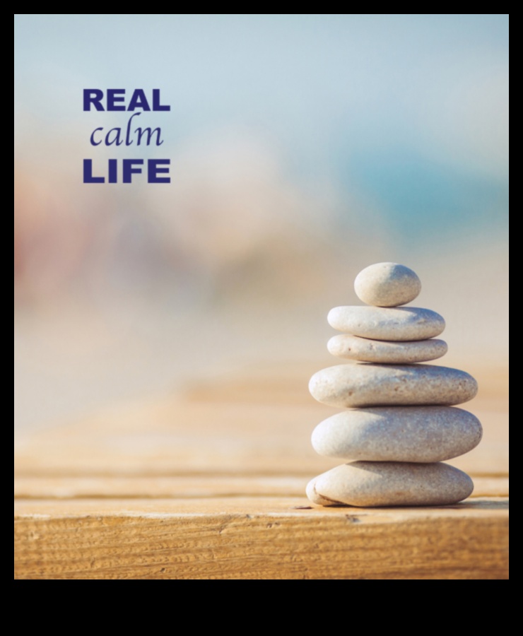 Zen Voyage: Navigarea apelor interioare cu meditație ghidată