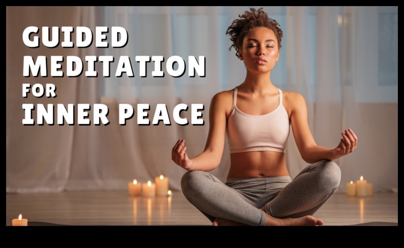 Zen Voyage: Navigarea apelor interioare cu meditație ghidată