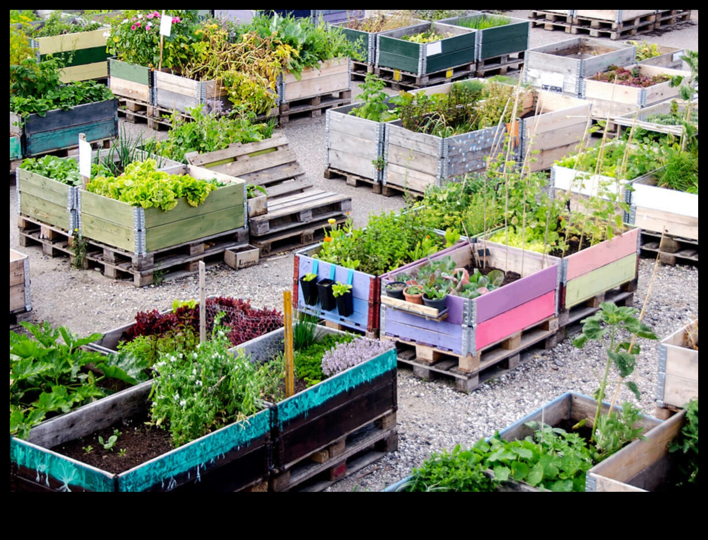 Ecologizarea junglei de beton Cum poate crea grădinăritul vertical 5 retrageri urbane 5 Înfloriri înalte: grădinărit vertical pentru retrageri urbane