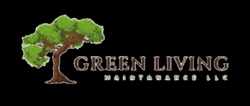 Viața mai ecologică Elementează -ți spațiul cu întreținerea de grădină expertă 2 Viață mai ecologică: ridicați -vă spațiul cu întreținerea expertă a grădinii