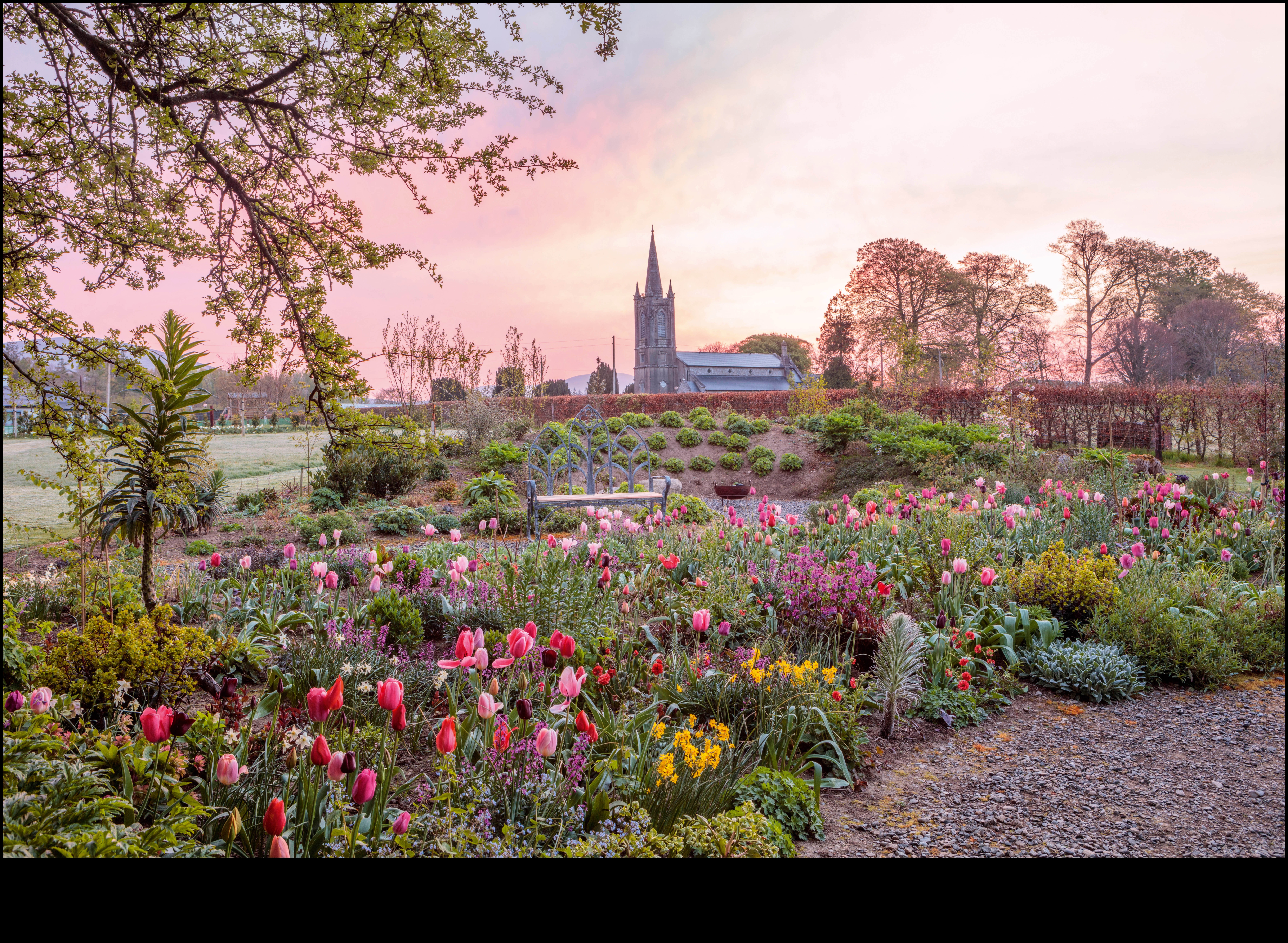 Harmony in Bloom: Garden Design Inspirations dezvăluite