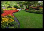 Armonie în floare Dezvăluirea secretelor frumoasei design de grădină