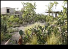 Artistica florală Descoperiți frumusețea naturii prin ateliere de grădină