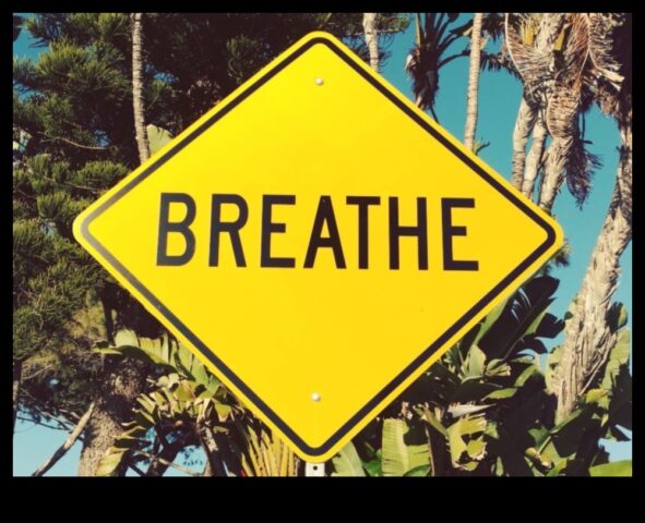 Calmează -te în haos 5 moduri de a găsi pace interioară și de a gestiona stresul