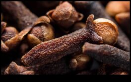 Fotografie de prim-plan macro magic cu lentilă macro