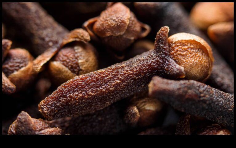 Fotografie de prim-plan macro magic cu lentilă macro