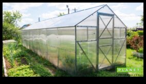 Minuni verzi ridică-ți grădina cu echipament de top