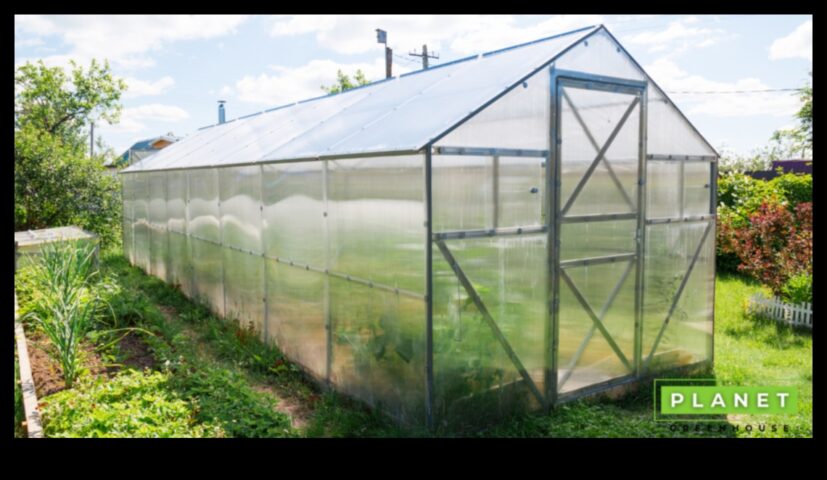 Minuni verzi ridică-ți grădina cu echipament de top