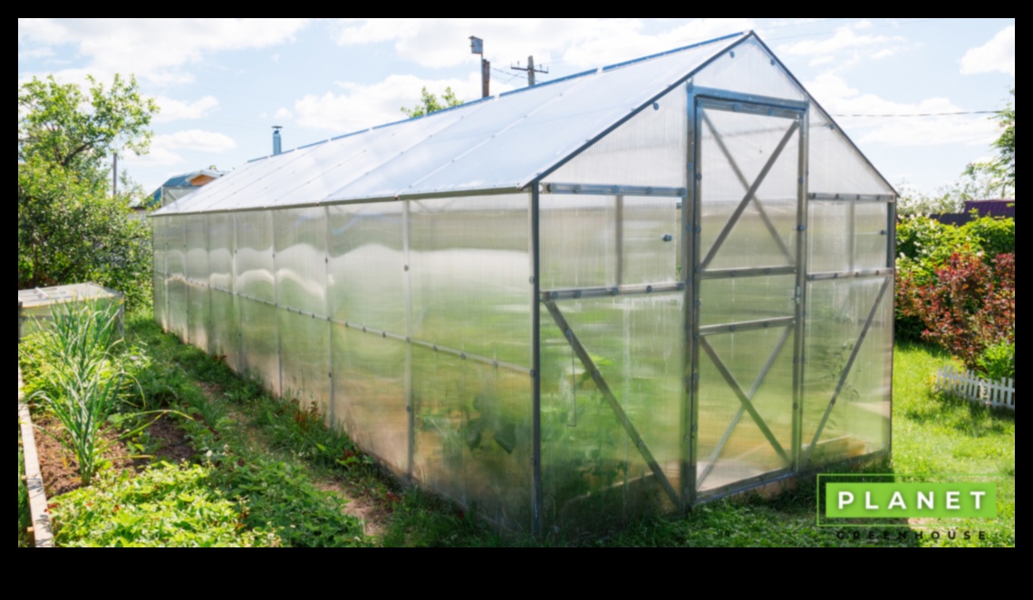 Minuni verzi: Elevați-vă grădina cu echipament de top