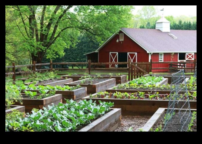 Rădăcini de rezistență modul în care întreținerea expertă a grădinii creează grădini puternice și sănătoase