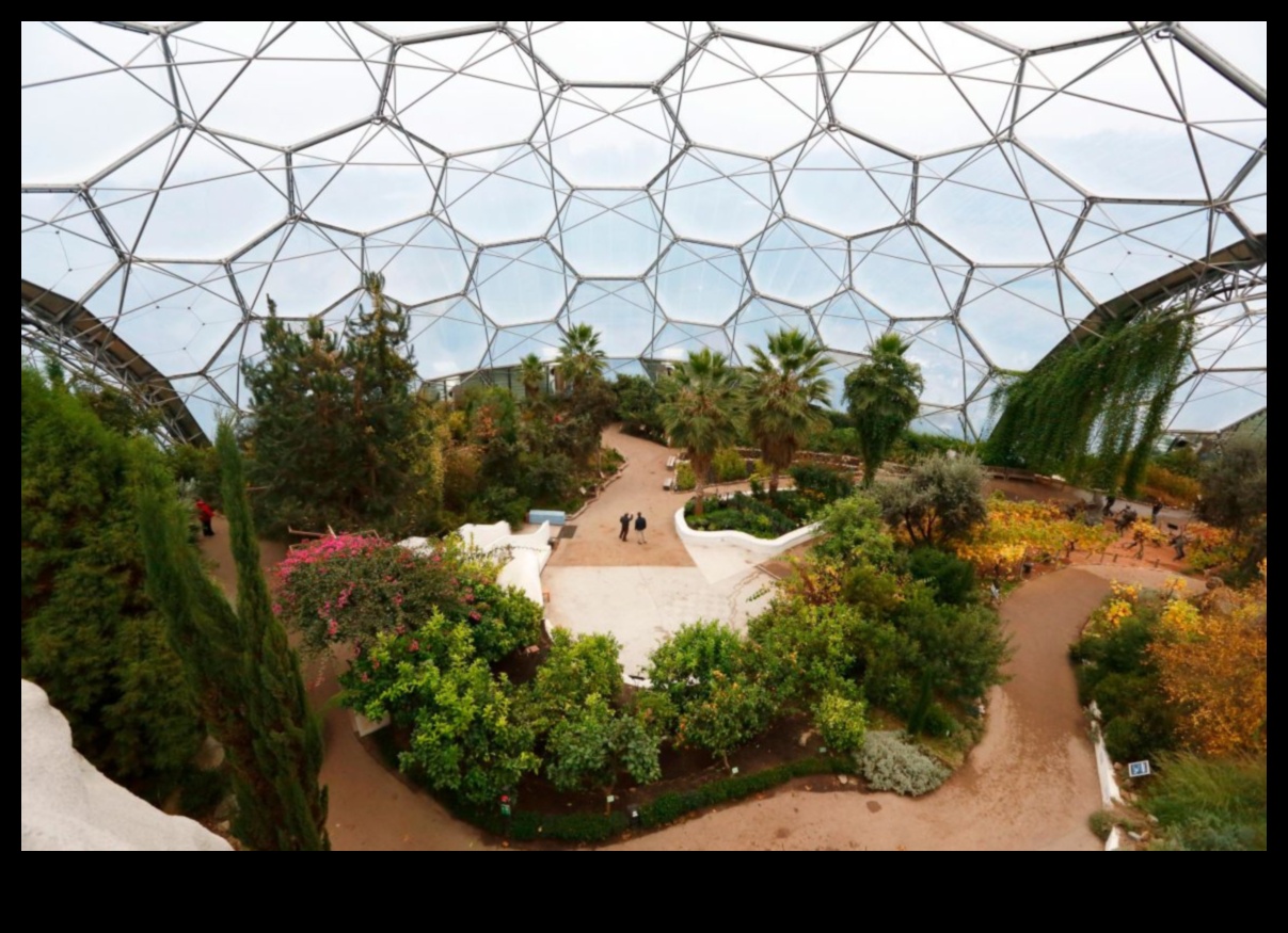 Eden a dezvăluit un tur al celor mai frumoase grădini din lume 4 Eden dezvăluit: visele designului de grădină devin realitate