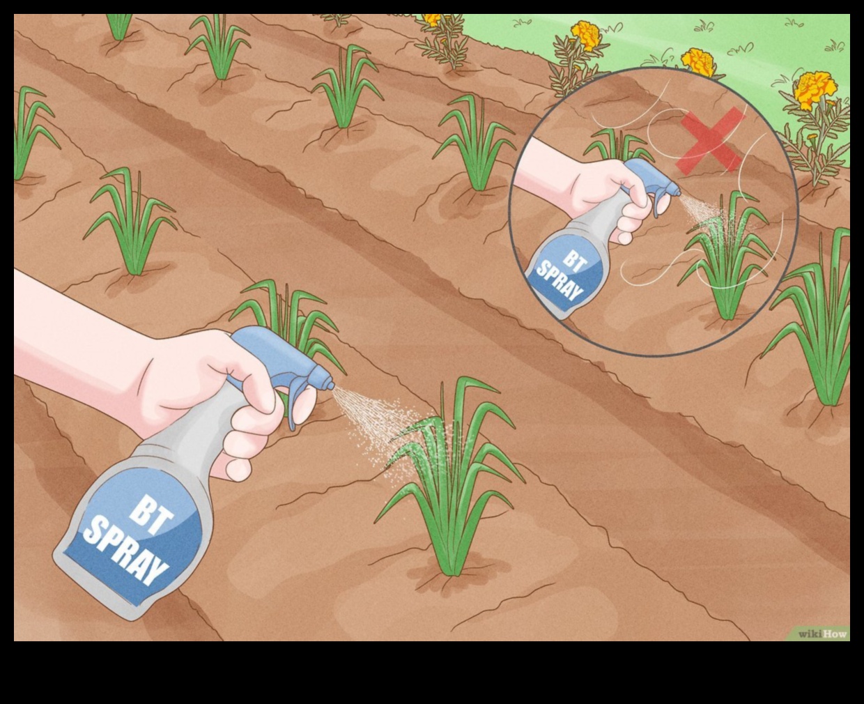 Păzește -ți verdeața 5 moduri de a păstra dăunătorii din grădina ta 3 Păzește -ți verdeața: sfaturi pentru combaterea dăunătorilor de grădină