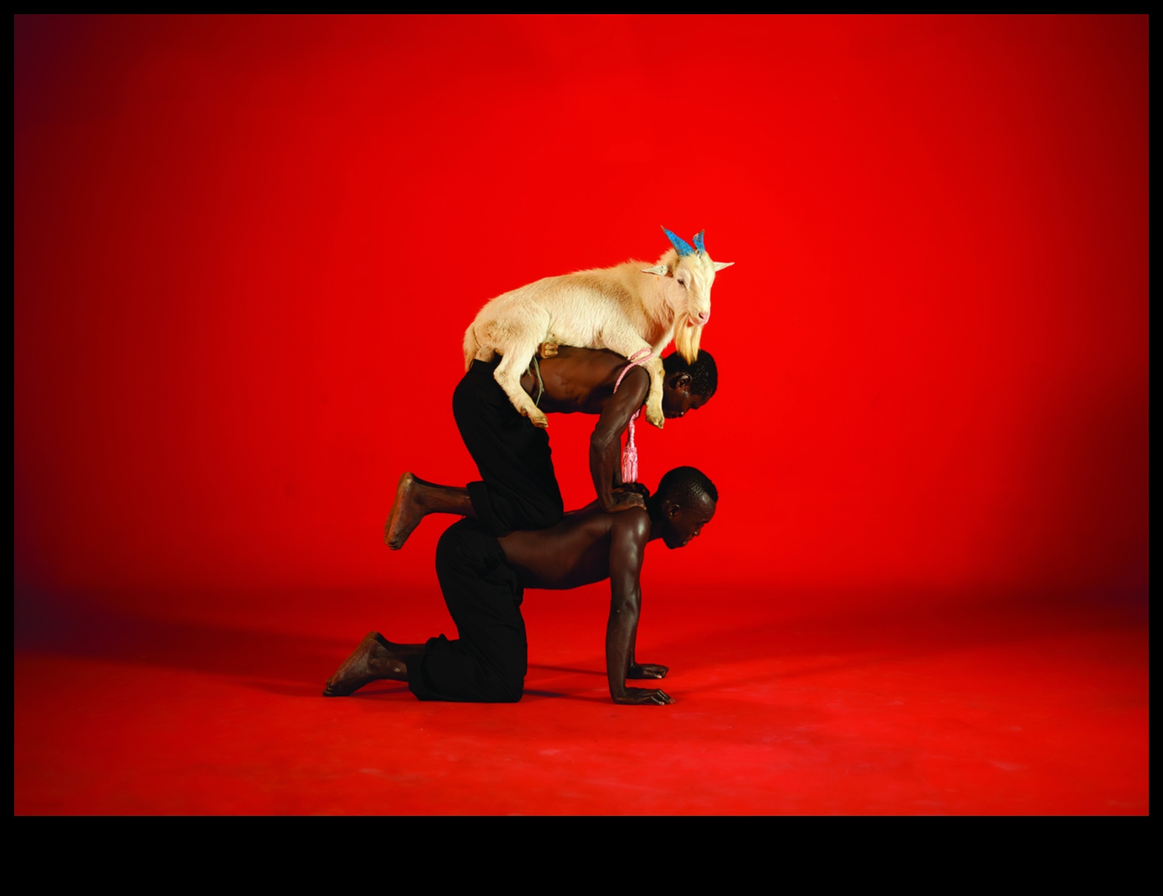 Captând spiritul uman 4 Portrete perfecte de imagine: fotografie de bricolaj pentru oameni