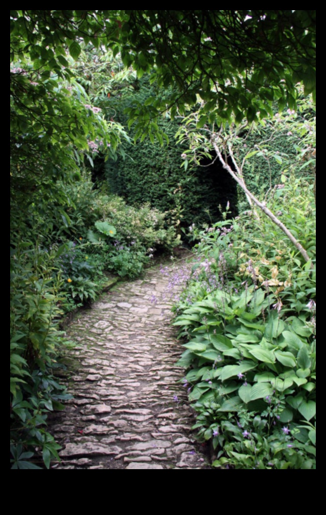 Tranquil Trails Căi spre fericire în grădina ta 3 Trasee liniștite: Căi de design de grădină spre fericire