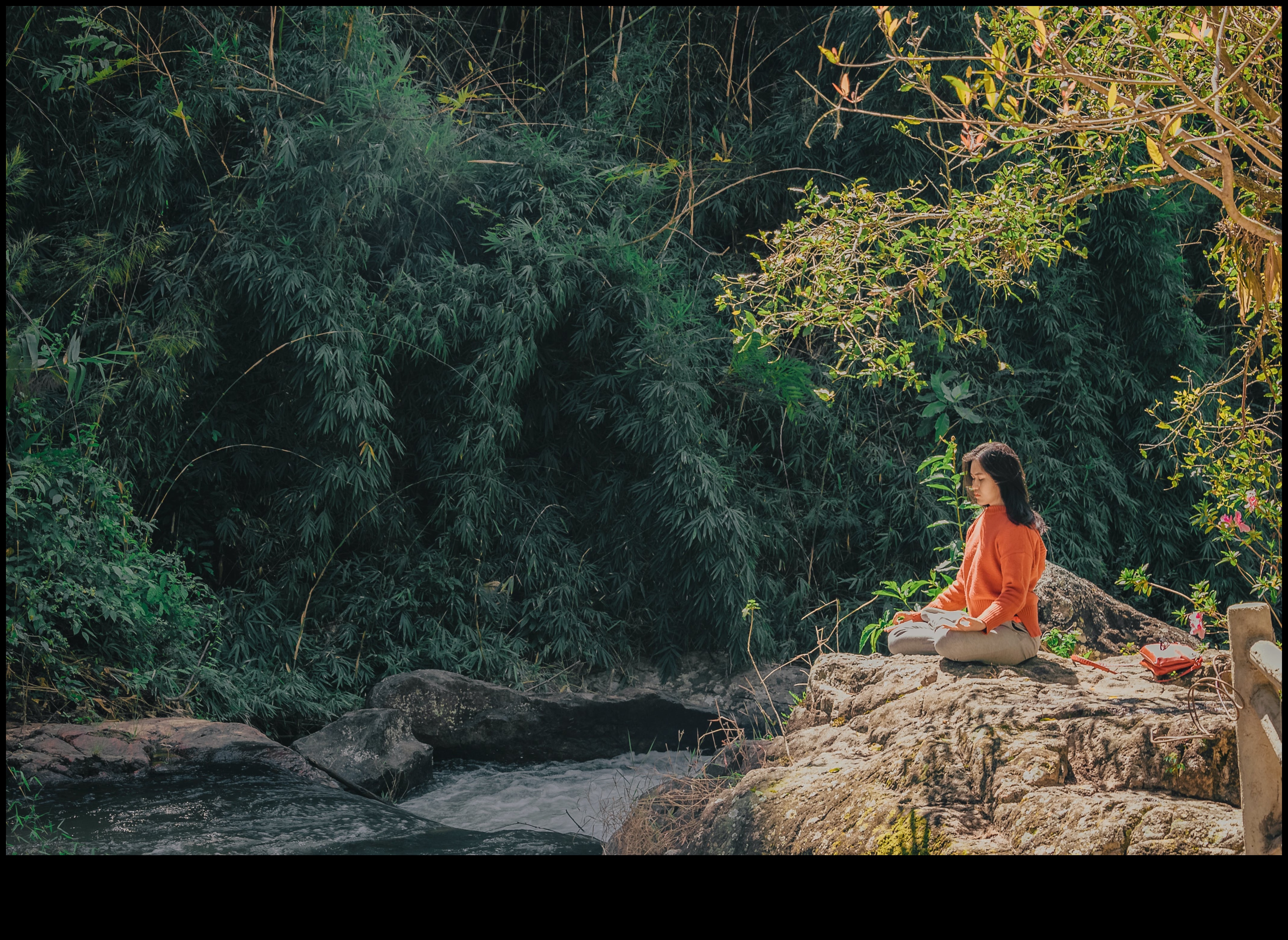 Măiestrie de meditație: foaia de parcurs pentru traiul fără stres