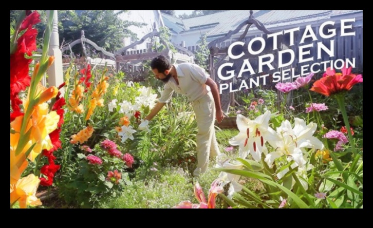 Ascunzătoare botanică: crearea grădinilor de cabană fermecată