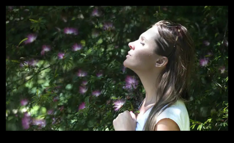 Mindful Bliss 5 moduri în care meditația îți poate transforma experiența zilnică 4 Bliss Mindful: Cum meditația îți transformă experiența zilnică