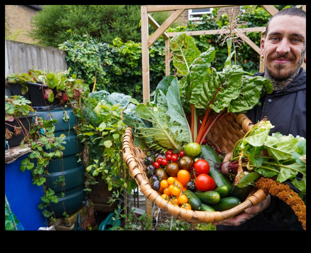 Rădăcinile cunoștințelor cultivând curiozitatea și învățarea prin grădinărit 2 Rădăcinile cunoștințelor: Creșterea mai inteligentă cu educația în grădină