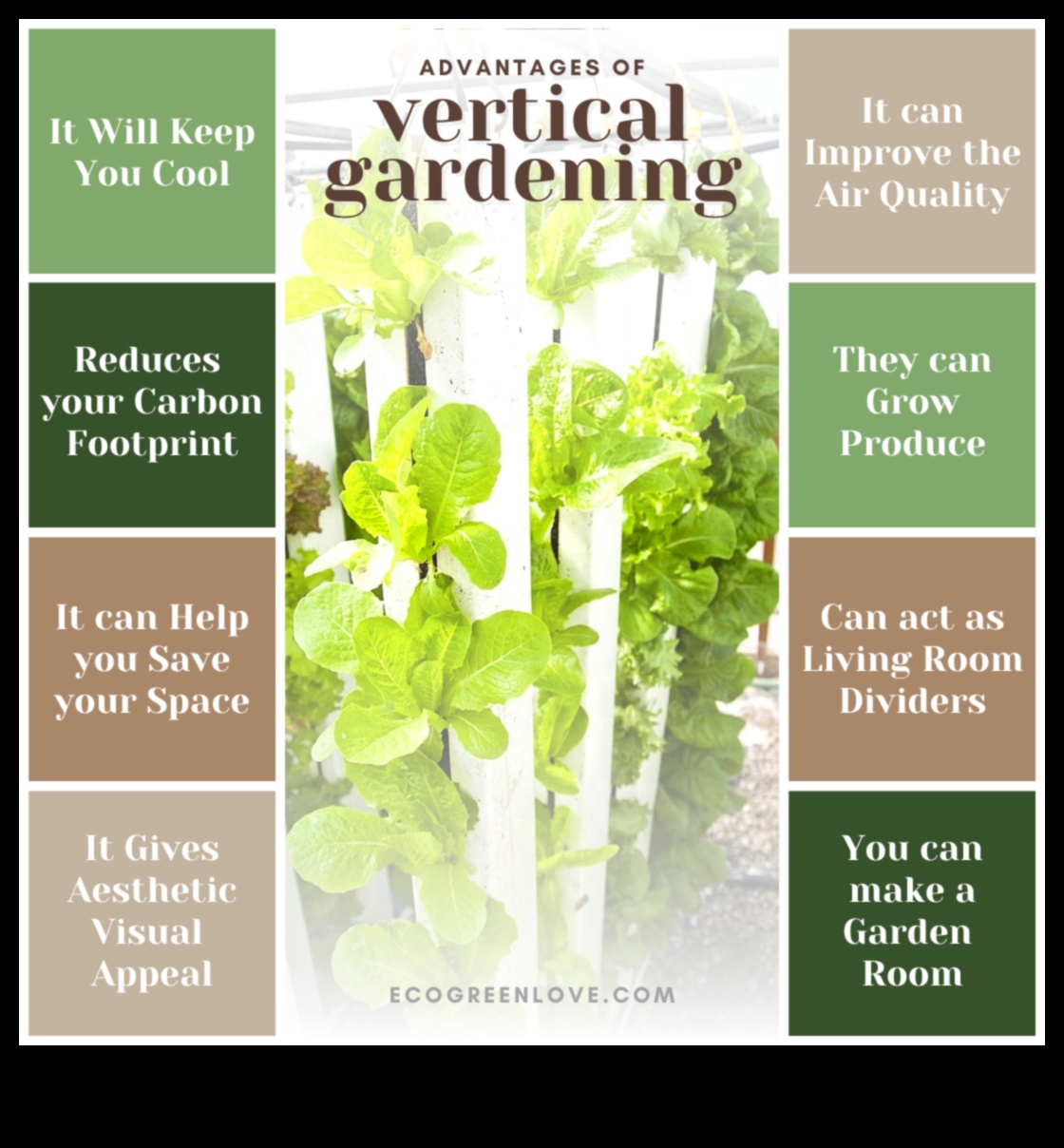 Plantatoare de pereți din lemn de bricolaj: crearea grădinilor verticale cu stil