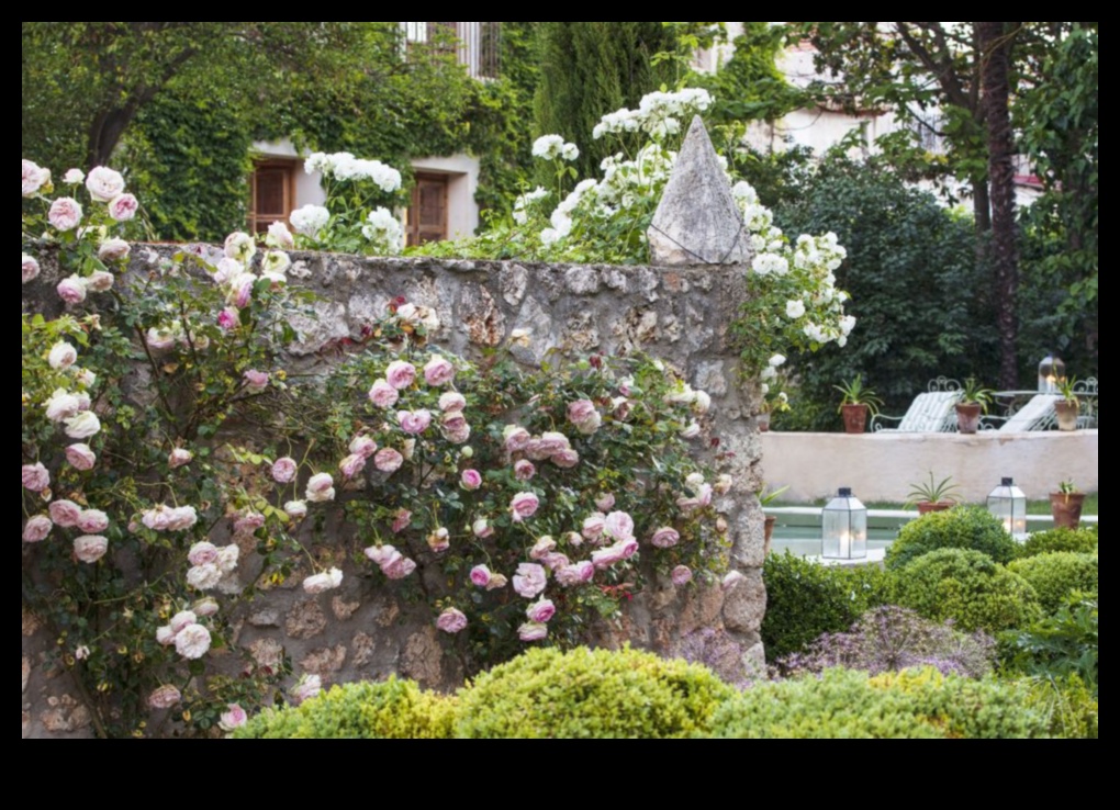 Eden a dezvăluit un tur al celor mai frumoase grădini din lume 2 Eden dezvăluit: visele designului de grădină devin realitate