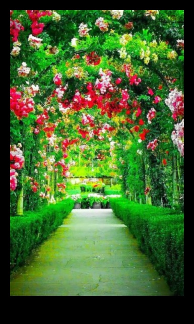 Fundaluri uluitoare: splendoarea designului grădinii