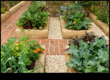 Înfloriți într -o cutie crește -vă propria grădină, indiferent unde locuiți