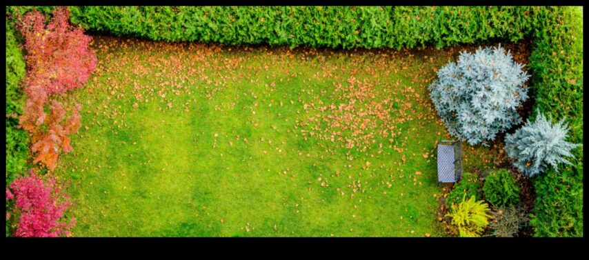 Radianță înrădăcinată Cum să -ți păstrezi grădina care arată strălucitor cu o întreținere adecvată