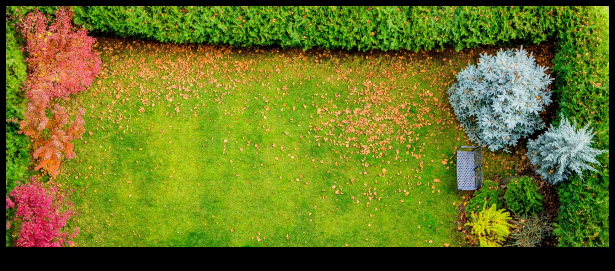 Radiație înrădăcinată: dezvăluirea secretelor de strălucire a grădinii cu întreținere