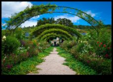 Sfaturi de experți în grandarea verdeață pentru crearea unei grădini uimitoare